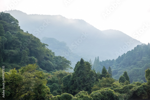 View of the green mountains covered with dense forest