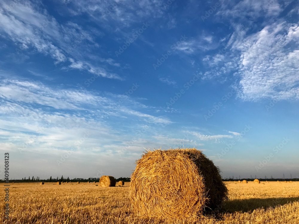 Haystack after harvesting at sunset. Agroculture