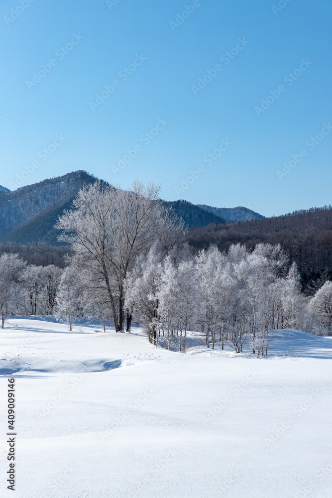 Obraz premium 北海道冬の風景 富良野の樹氷