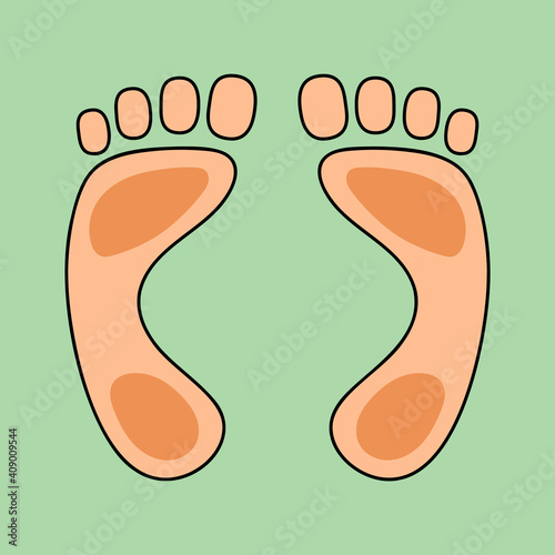 Human foot with toes illustration