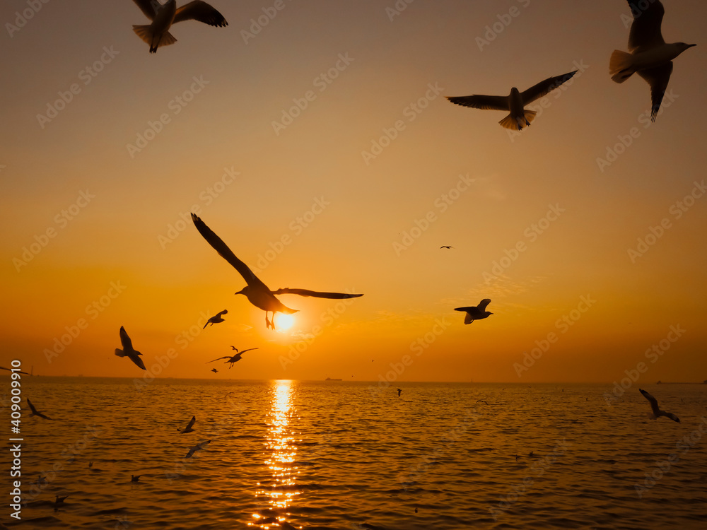 Sunset Sea Bird Silhouette sunset.Silhouette bird flying photography Sea. Minimal photography