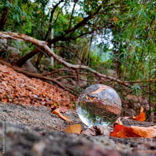 Crystal ball on dry leaf background