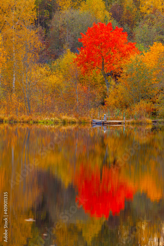 The autumn forest is reflected in the lake