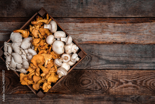 Wooden tray with raw oyster and chanterelle mushrooms on wooden table. Copy space for your text. Banner.