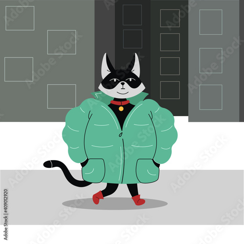 Modern black and white cat in puffy jacket on grey houses background. Serious cat is walking down the street. Vector flat illustration.