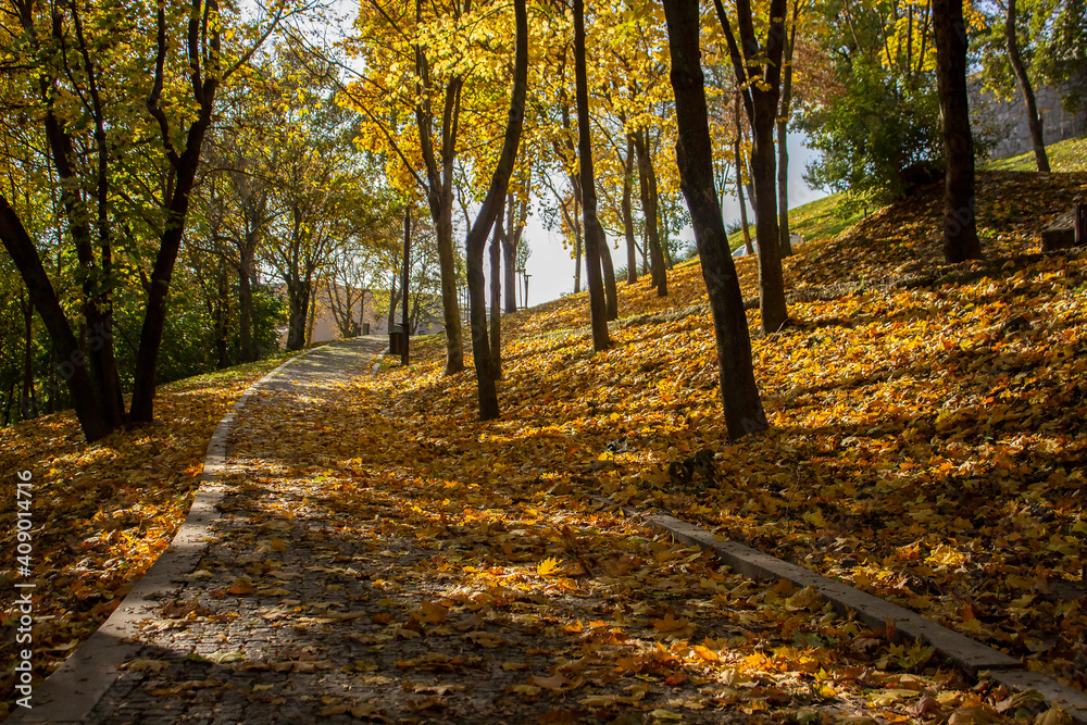 autumn in the park