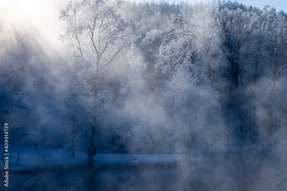 Obraz premium 北海道冬の風景 富良野の樹氷