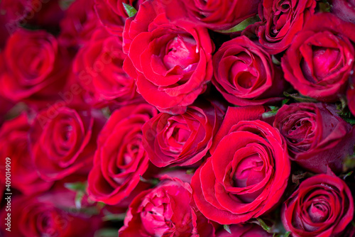 selective focus several red roses put together in a bundle, perfect for a Valentine's Day