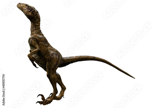 3D Rendering Dinosaur Deinonychus on White