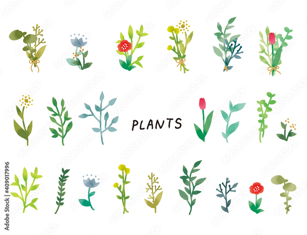 カジュアルなタッチ シンプルでナチュラルなボタニカル植物のイラストセット Stock Illustration Adobe Stock カジュアルなタッチ シンプルでナチュラルなボタニカル植物のイラストセット Stock Illustration Adobe Stock