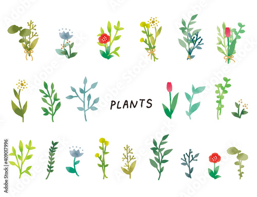 Fototapeta Naklejka Na Ścianę i Meble -  カジュアルなタッチ　シンプルでナチュラルなボタニカル植物のイラストセット