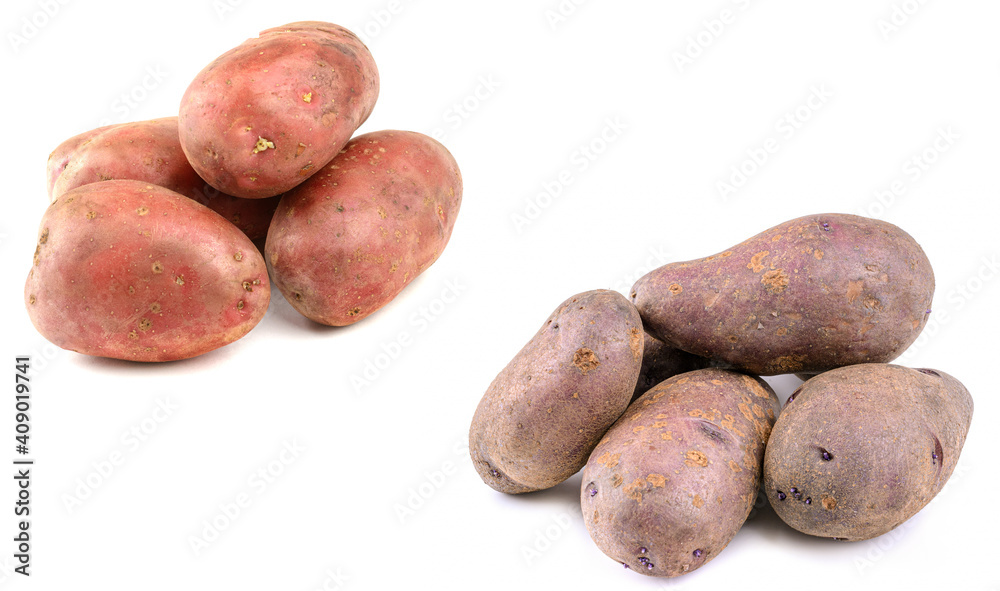 Raw pink potato tubers on a white isolated background.Potatoes in the skin. Raw pink potato tubers on a white isolated background.Potatoes in the skin.