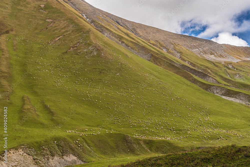 Beautiful landscapes with high mountains of Georgia. Herd of sheep on a mountain slope.