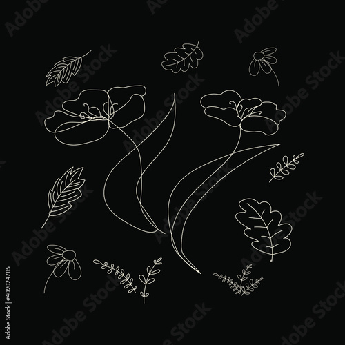 Vector illustration of  lineart  drawing abstract flower poppy,  chamomile, oak leaves, poplar and herb twigs. Hand drawn modern minimalistic design for creative logo, icon or emblem on black backgrou photo