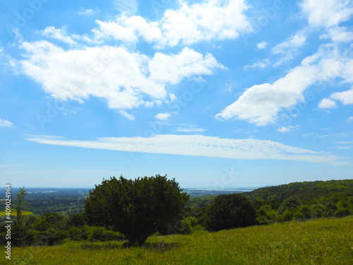 A view of a large space, fields, trees and the far horizon © Rafal