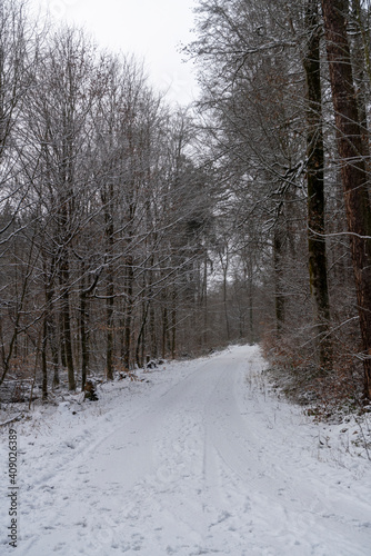 Path in the winter forest with light snow