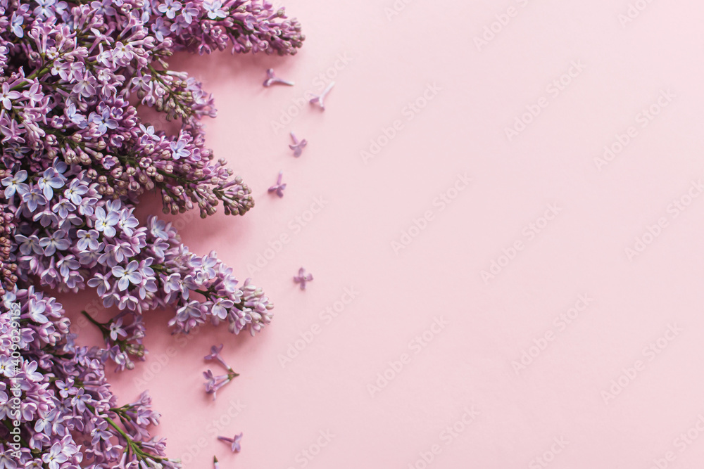 Lilac flowers on pink paper. Floral greeting card with space for text. Purple lilac border top view Lilac flowers on pink paper. Floral greeting card with space for text. Purple lilac border top view