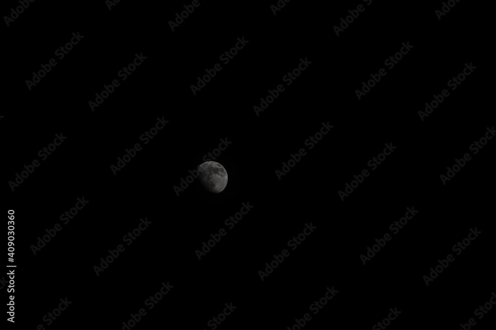 Moon Moon