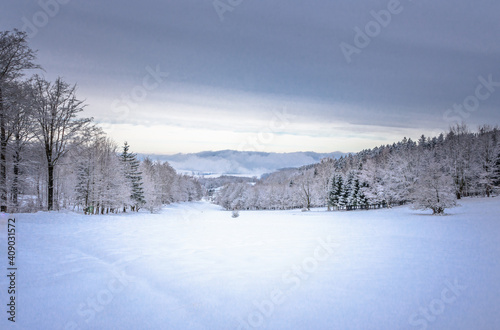 Romantische Landschaft im Neuschnee bei Struth Helmershof im Thüringer Wald am Rennsteig © Nicole