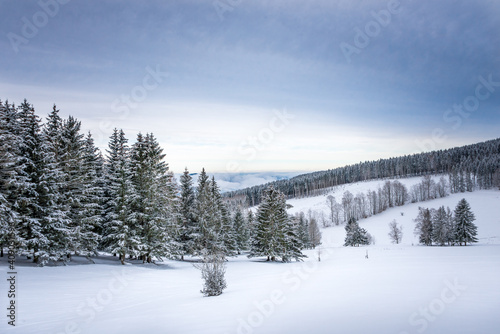 Winterlandschaft in Struth Helmershof im Thüringer Wald