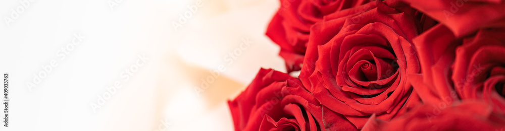 Nature of red rose flower using as background natural flora valentine's day cover page Nature of red rose flower using as background natural flora valentine's day cover page