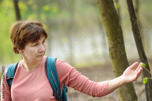Mature woman walking in spring forest. Person admiring young leaves of tree. Beauty of nature.