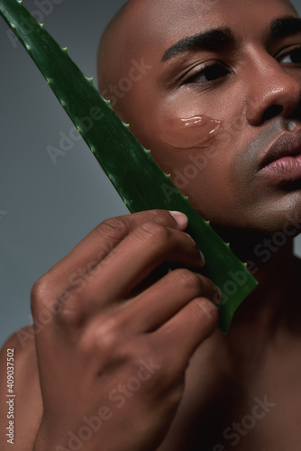 Closeup shot of handsome young african american man looking aside, holding fresh leaf of Aloe Vera while posing with gel applied on his cheek isolated over grey background