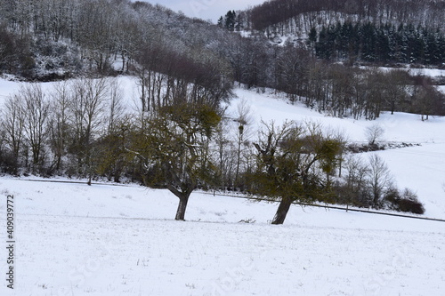 Eifellandschaft in frischem Schnee photo