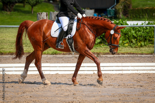 Dressage horse with rider in step with bowed head on a dressage tournament..