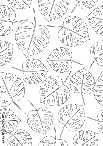 Seamless pattern, coloring page with leaves in A4 size for adults, colorless vector stock illustration with colorless exotic plant monstera