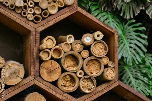 Hexagonal wooden drawers that have several beehives made of bamboo inside.