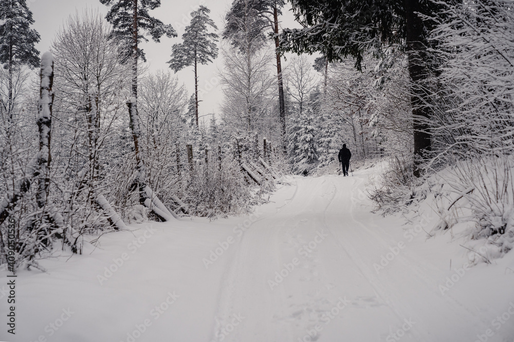 Nordic walking in winter forest. Active an elderly man outdoors. Healthy lifestyle concept. Nordic walking in winter forest. Active an elderly man outdoors. Healthy lifestyle concept.