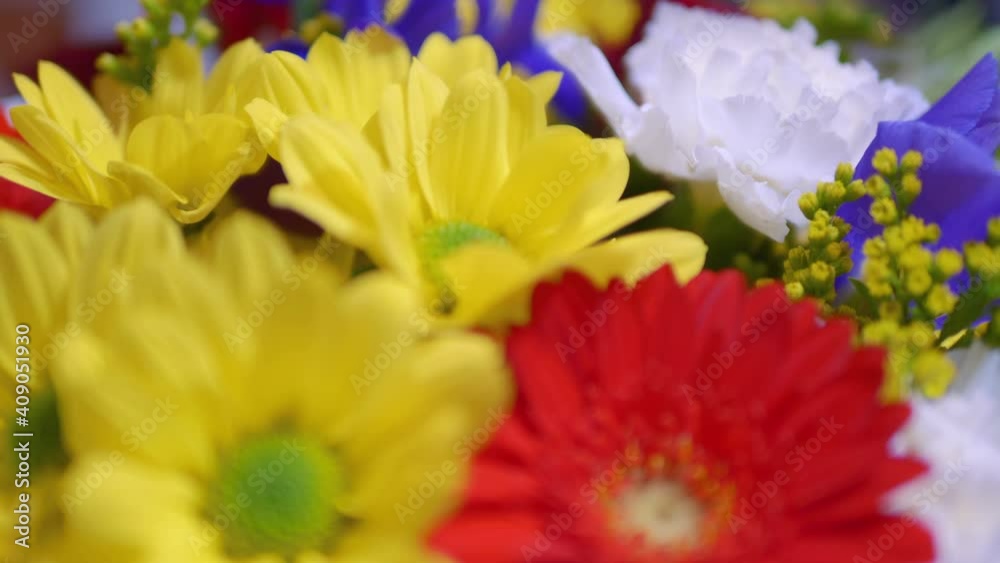 Rotating flowers in the bouquet in 4k
Rotating flowers in the bouquet in 4k