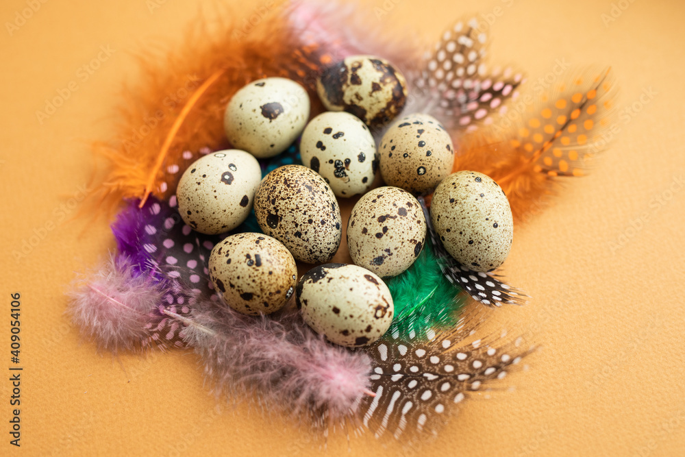 Obraz premium Easter. Peepelin eggs on multi-colored feathers. Orange background.