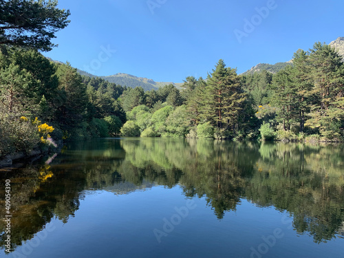 reflection of trees in lake in the mountains