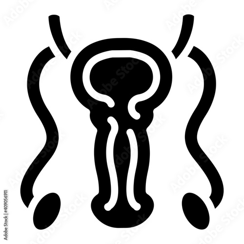 A solid design icon of male reproductive organ 