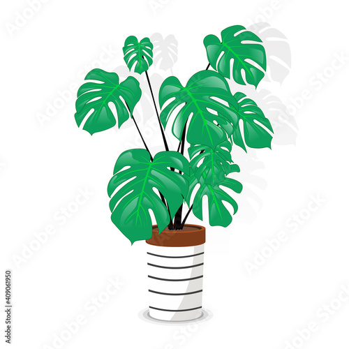 A rather lovely simple illustration of the classic monstera deliciosa.