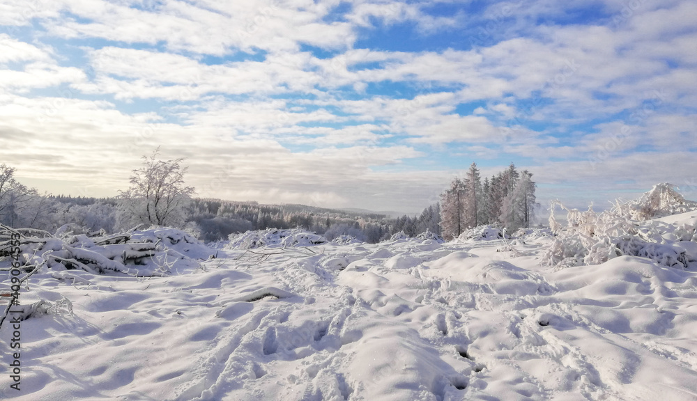 landscape of snow covered trees in winter forest landscape of snow covered trees in winter forest