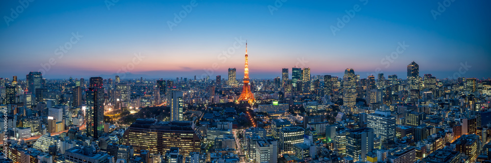 Panoramic view of the Tokyo skyline at night