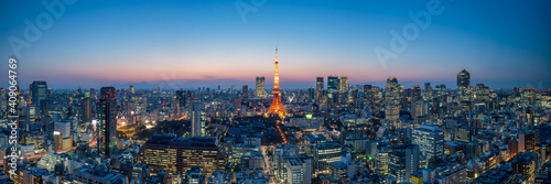 Panoramic view of the Tokyo skyline at night © eyetronic