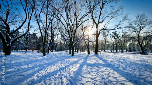 Zimowy poranek w parku. Śnieg jest wszędzie. 