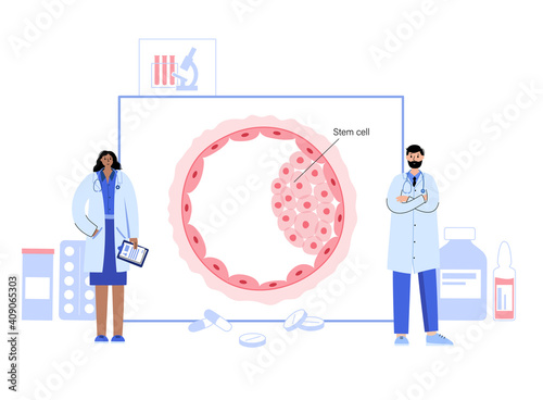 Embryo cell anatomy