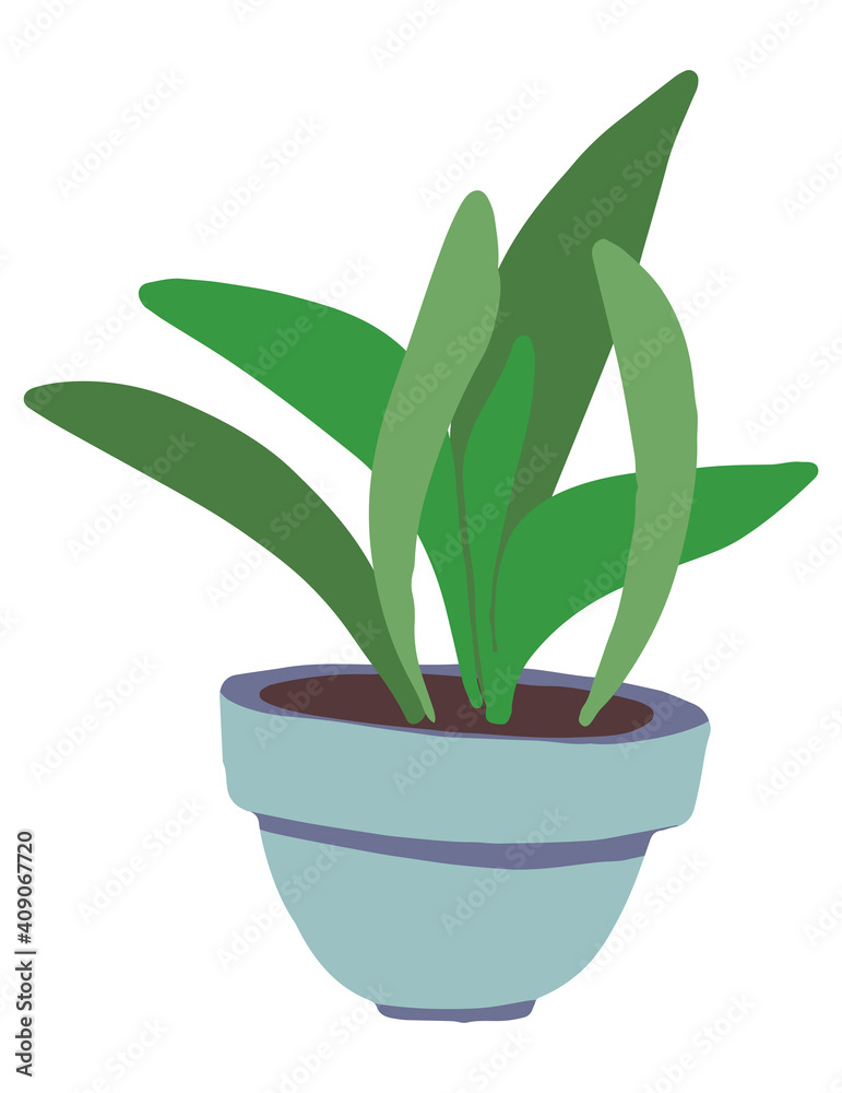 Potted plant isolated on white background. Hand drawn vector illustration. Colored cartoon doodle. Single drawing of cute home plant. Element for design, print, sticker, postcard, decoration, wrap etc