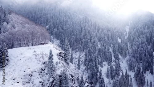 A majestic snowy gorge with fir trees in mountains. Tall trees brush against white clouds. Steep cliffs with large rocks are covered with snow. Top view from the drone. Almarasan, Almaty, Kazakhstan photo