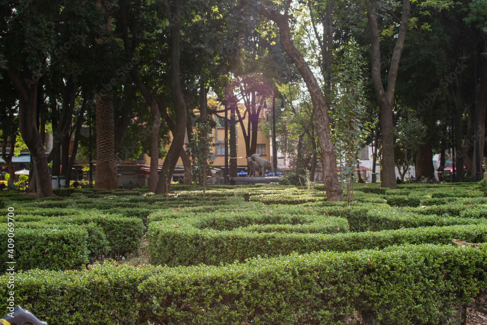 Peaceful park with trees and bushes in Mexico City Peaceful park with trees and bushes in Mexico City