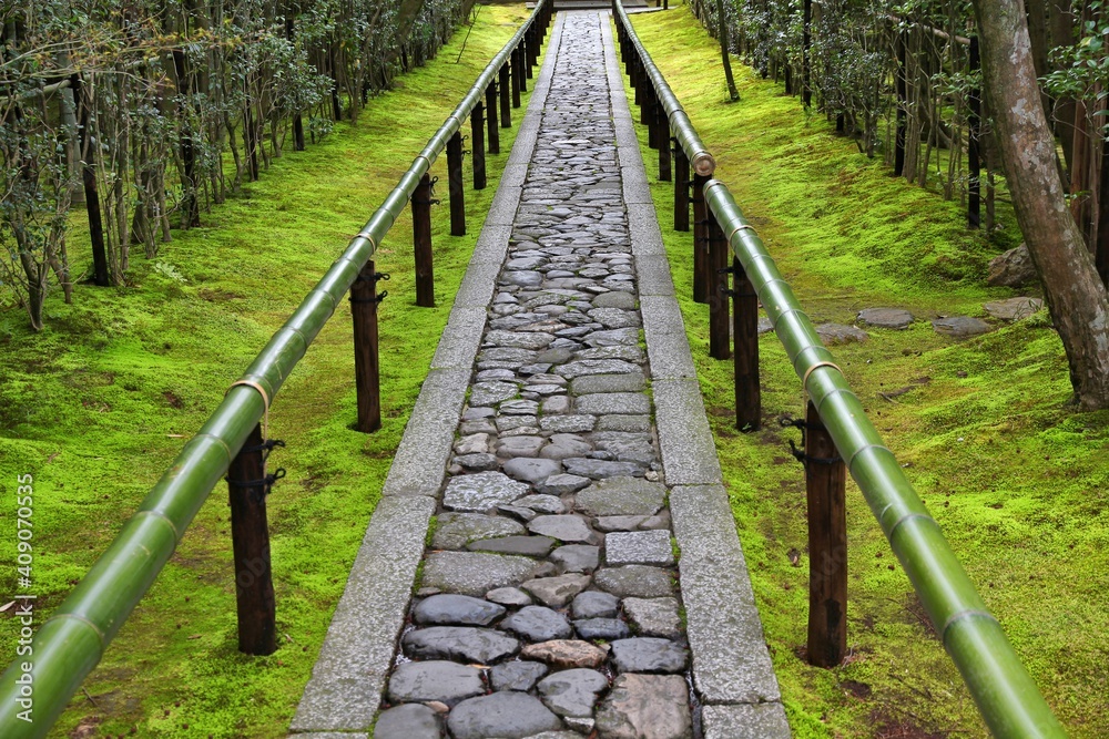 Moss garden in Japan