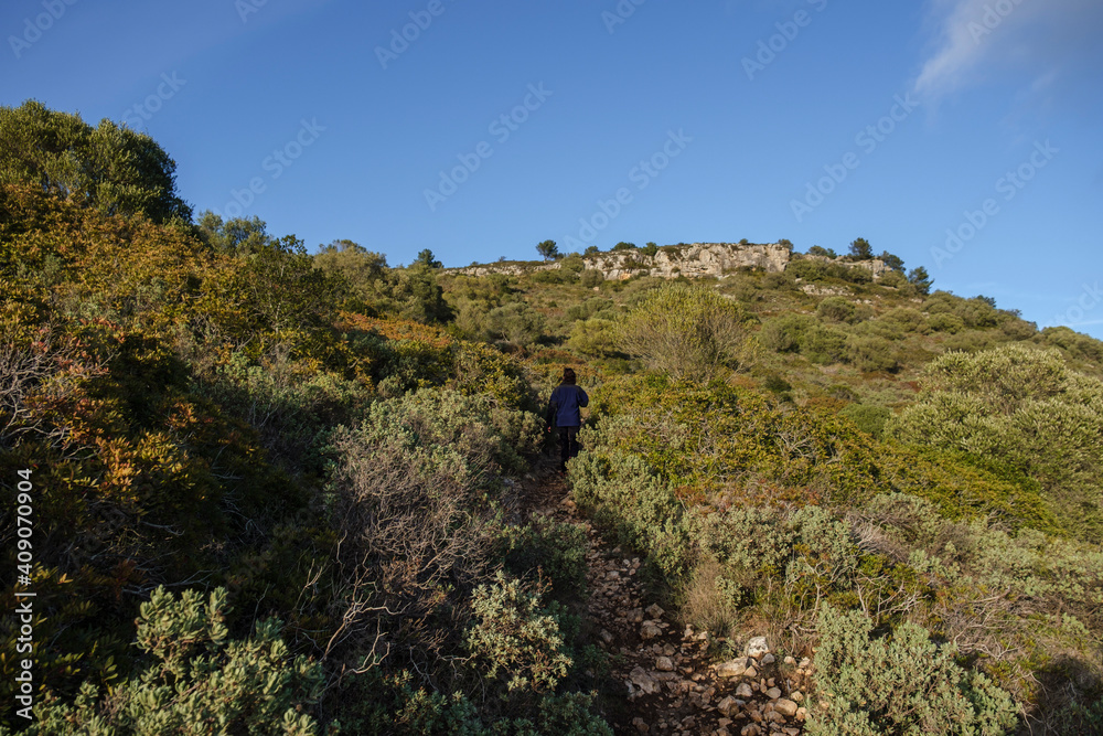 Mediterranean scrub, Puig de Randa, Algaida, Mallorca, Balearic Islands, Spain Mediterranean scrub, Puig de Randa, Algaida, Mallorca, Balearic Islands, Spain