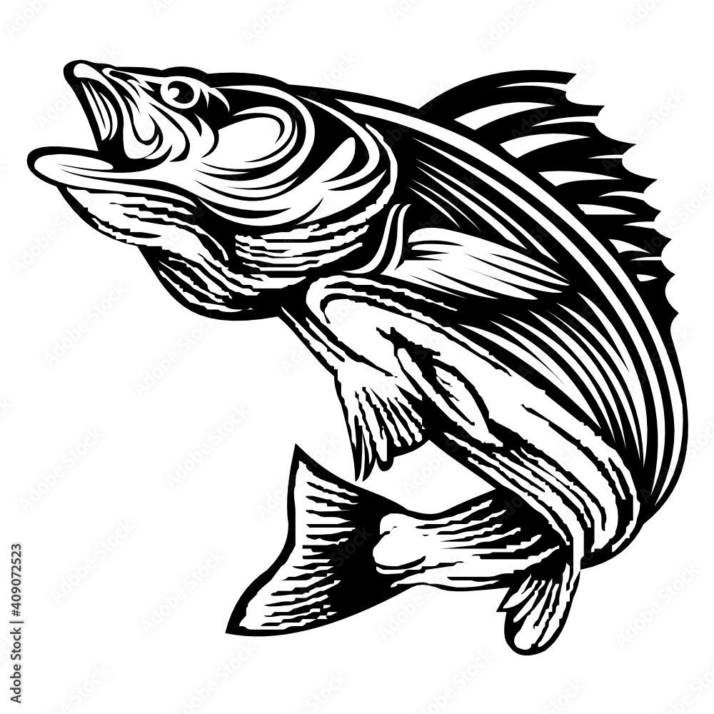 fish logo design template inspiration, vector illustration fish logo design template inspiration, vector illustration