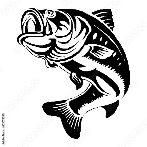 fish logo design template inspiration, vector illustration