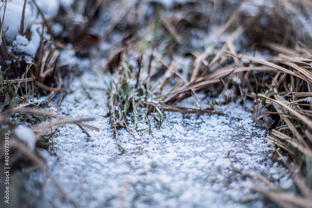 frost on the grass, frozen water in winter, grass in ice, river bank with ice floes, macro, winter landscape, natural phenomena frost on the grass, frozen water in winter, grass in ice, river bank with ice floes, macro, winter landscape, natural phenomena